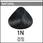 1N 검정