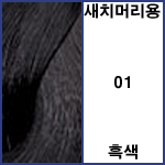 01 흑색